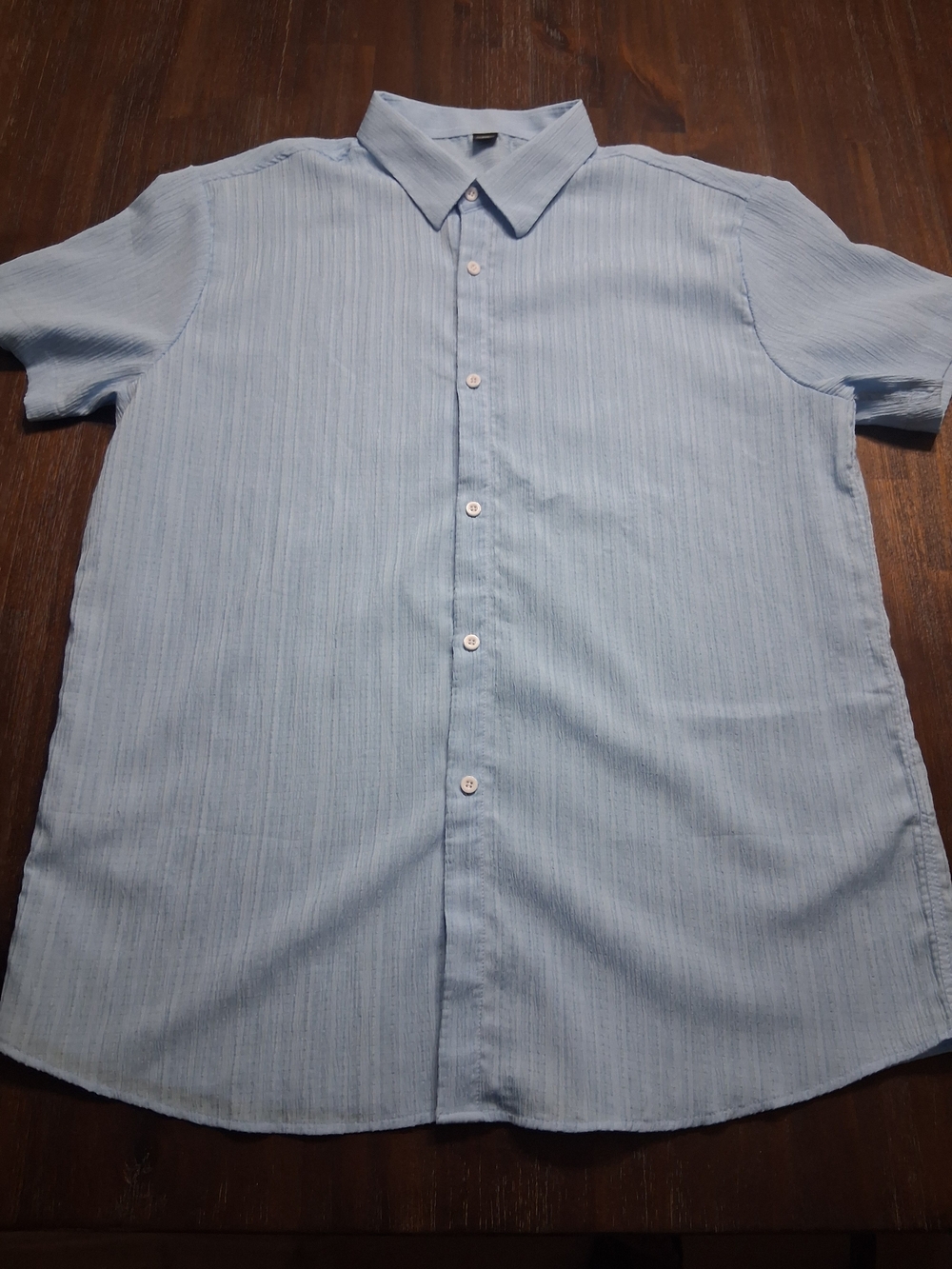 Light Blue Short-Sleeve Casual Button-Down Shirt